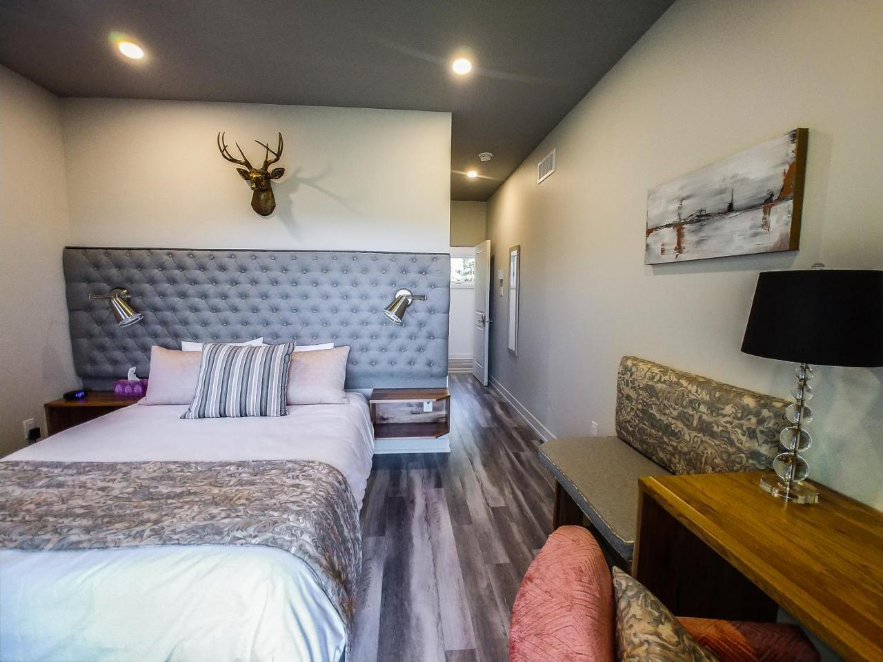 Le Bellevue Modern Lodge Wakefield Exteriér fotografie