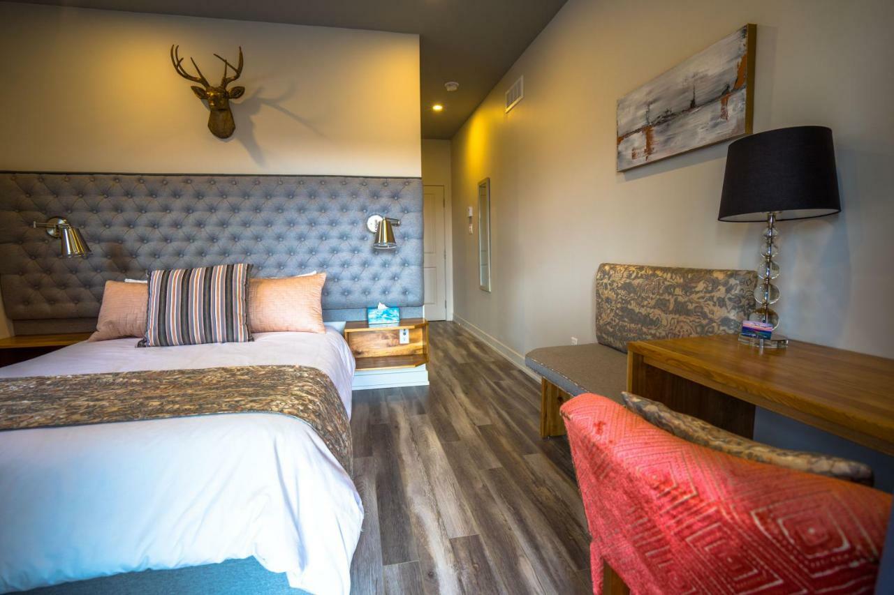 Le Bellevue Modern Lodge Wakefield Exteriér fotografie
